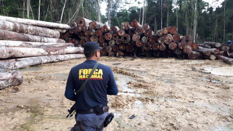 Garimpo e extração ilegal de madeira foram alvo da Operação Banzeiro do IBAMA   