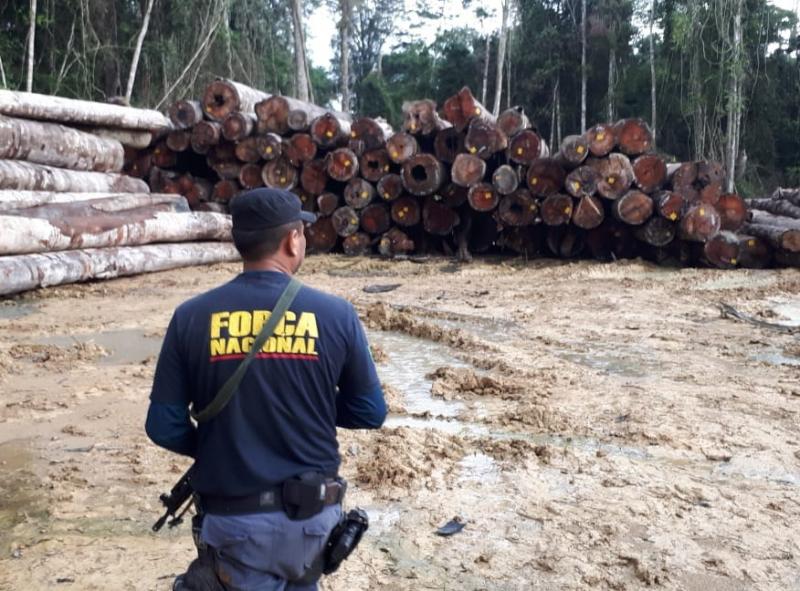 Prefeitura de Juruti reivindica doação de madeira repassada para a Prefeitura de Parintins pelo Ibama