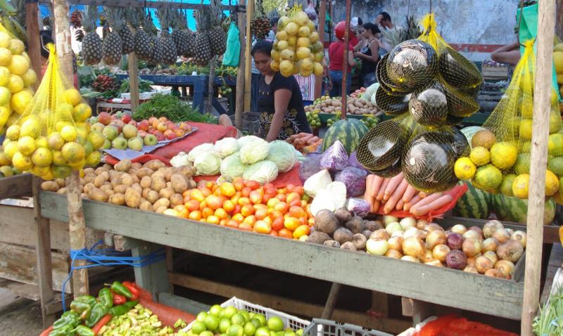 MPF recomenda compra de produtos regionais para merenda escolar