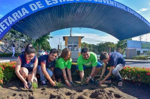 Plantação de mudas dá a largada para a 2ª Meia-Maratona Sustentável