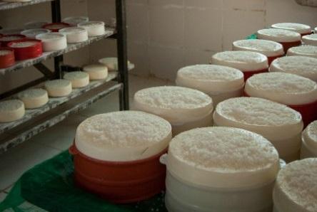 Sepror discute melhoria da produção de queijo no Amazonas