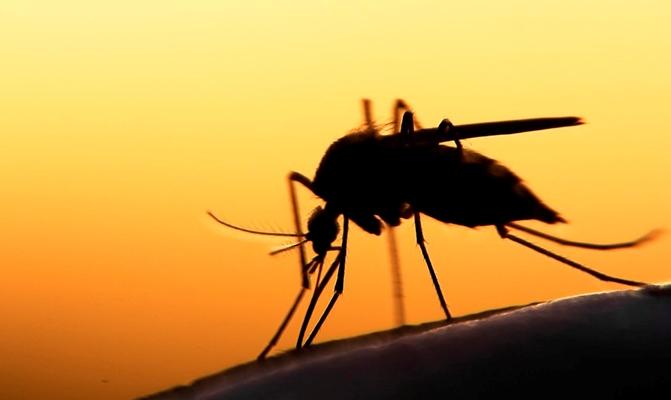 Brasil reduz em 38% casos de malária em relação a 2018