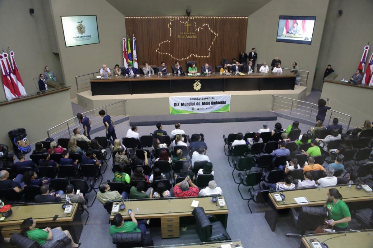 Joana Darc destaca Sessão Especial sobre o Dia Mundial do Meio Ambiente