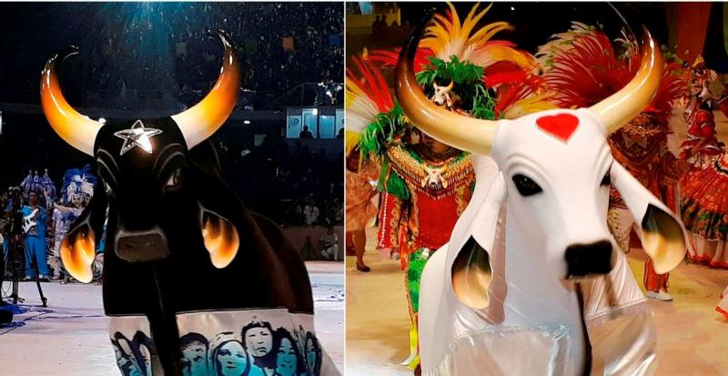 Apuração das notas dos itens de Caprichoso e Garantido começa 15h30min no auditório do Bumbódromo