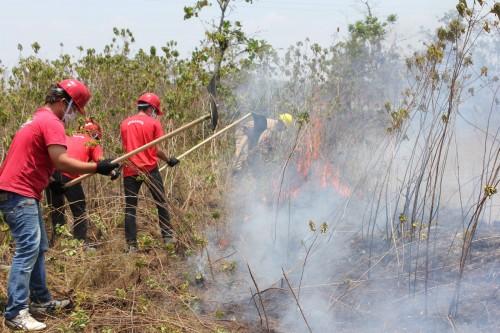 Amazonas tem redução de 6% no número de focos de calor, no primeiro semestre de 2019
