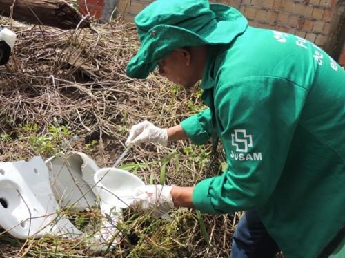 Doenças transmitidas por Aedes aegypti seguem com redução de casos no Amazonas no primeiro semestre de 2019