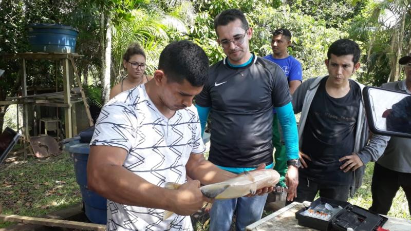 Pró-Piscicultura: Sistema Sepror ensina técnicas de criação de peixes em Coari