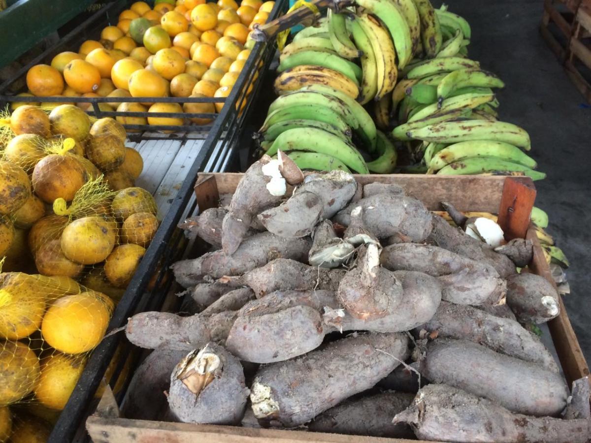 Exército em Tefé (AM) deve comprar R$ 243 mil da agricultura familiar Exército em Tefé (AM) deve comprar R$ 243 mil da agricultura familiar