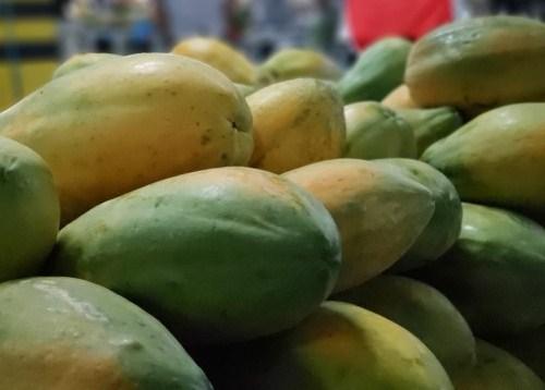 Em dois meses, Governo intermedeia venda de mais de R$ 500 mil em produtos regionais por meio da ADS