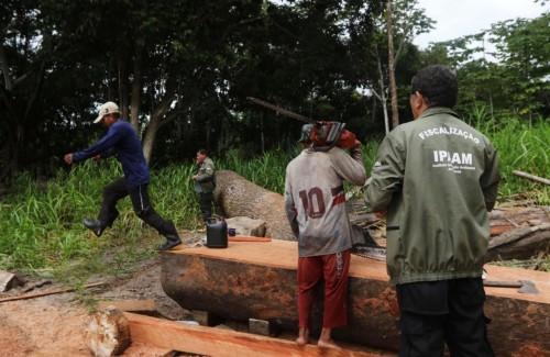 Materiais apreendidos pelo Ipaam podem ser doados para instituições filantrópicas Materiais apreendidos pelo Ipaam podem ser doados para instituições filantrópicas