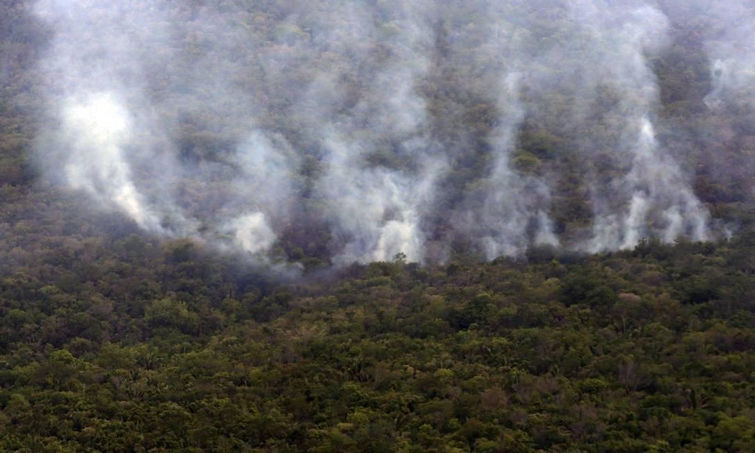 Queimadas na Amazônia têm aumento de 145% em 2019, diz Greenpeace