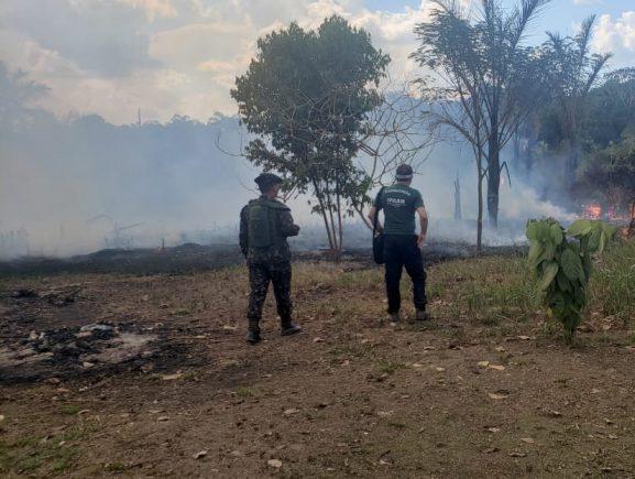 Operação contra queimadas e desmatamento multa seis empresas em Canutama em mais de R$ 4,9 milhões