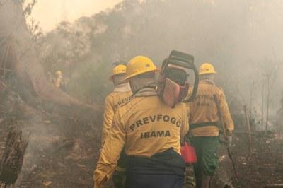 Combate a queimadas: Ministério da Economia deve autorizar concurso para o Ibama em 30 dias