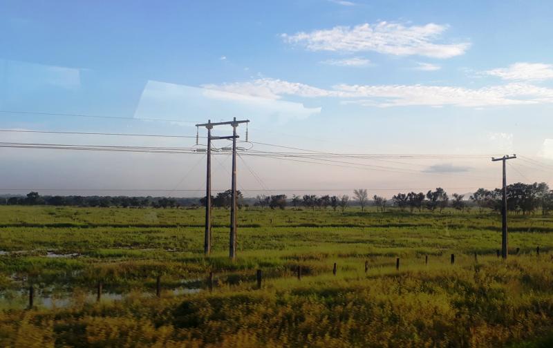 Análise técnica da Funai rejeita linhão de energia Manaus-Boa Vista