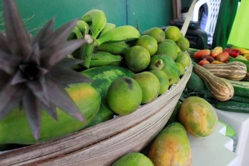 Governo do Amazonas, por meio do FPS, entrega implementos agrícolas em Rio Preto da Eva