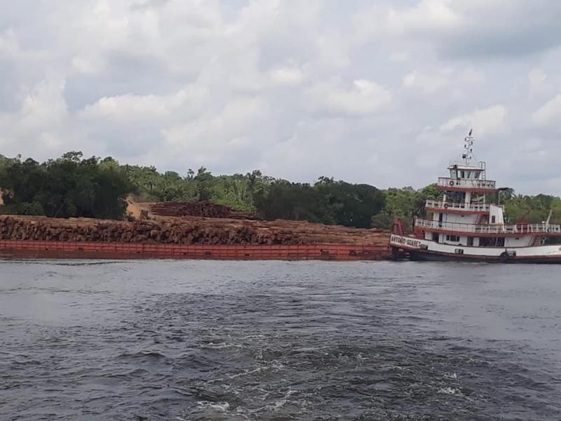 Internauta registra momento em que madeiras são retiradas do Mamuru, município de Parintins 