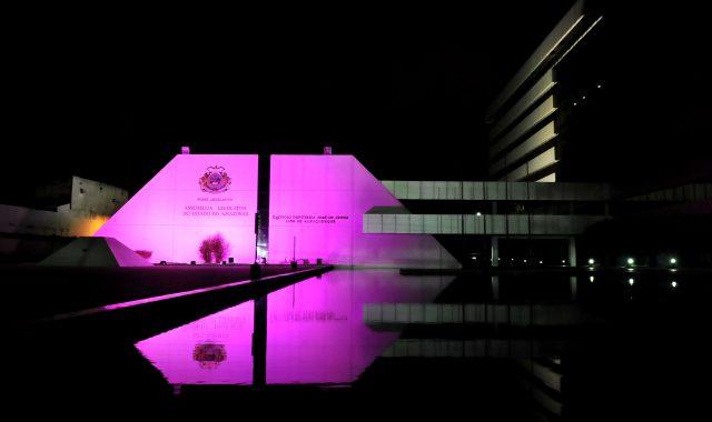 Deputados fizeram lançamento do Outubro Rosa com iluminação especial na Assembleia