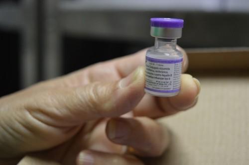 Susam recebe 10 mil doses de vacina pentavalente do Ministério da Saúde