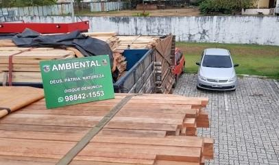 Até agosto, Batalhão Ambiental apreendeu volume de madeira ilegal estimado em mais de 200 árvores