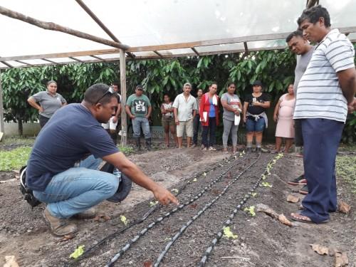Idam incentiva diversificação de frutas e produção de hortaliças em Santo Antônio do Içá