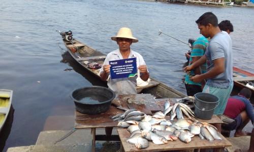 Tratadores de peixes do município de Maraã recebem financiamento da Afeam
