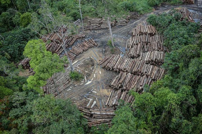 Comissão de Mudanças Climáticas debate modelo de desenvolvimento para Amazônia