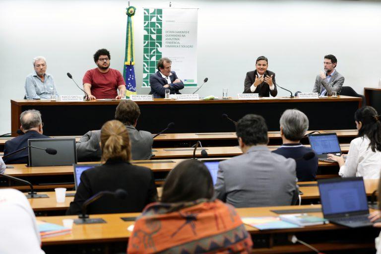 Ambientalistas cogitam ação contra o governo diante do desmatamento na Amazônia