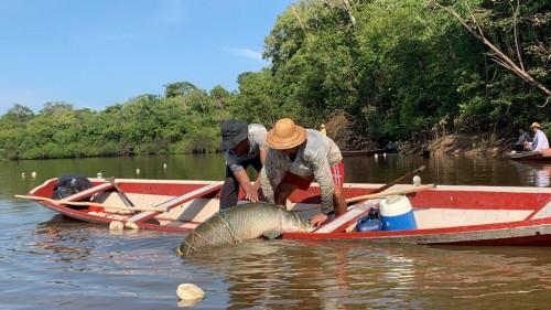 Sema viabiliza 12 novos acordos de pesca e amplia em 50% ação de ordenamento pesqueiro no Amazonas