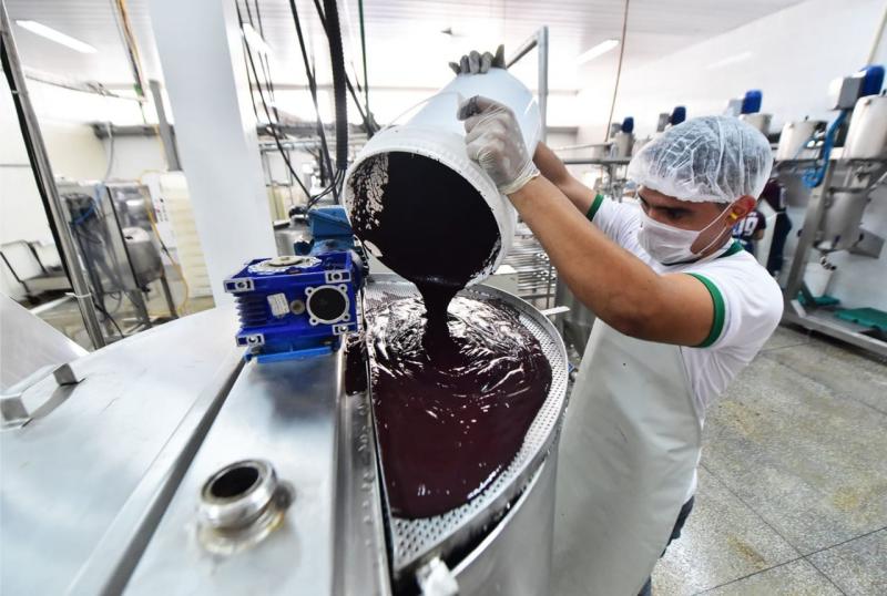 Agricultores de Rio Preto da Eva recebem 30 mil mudas de açaizeiros