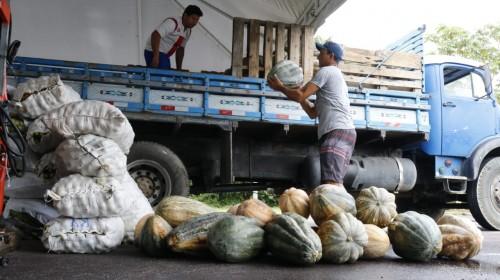 Programa de Aquisição de Alimentos realiza primeira entrega para entidades beneficentes de 2020