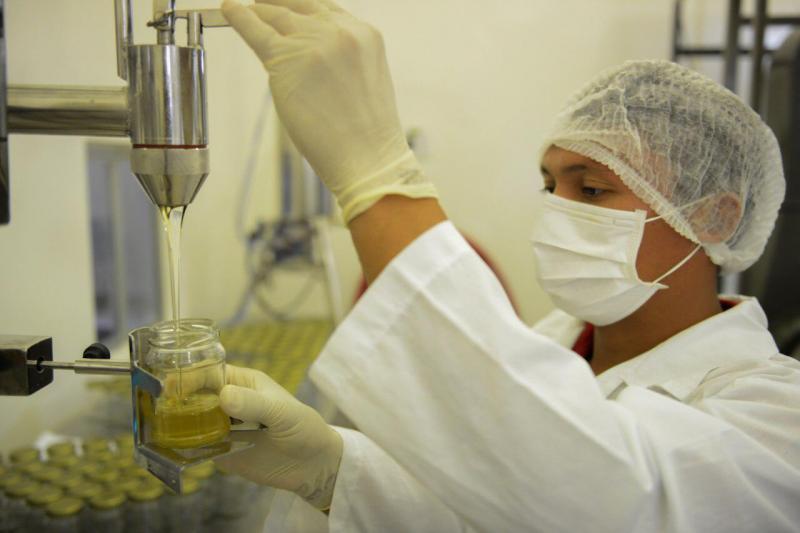 Amazonas quer inserir cinco plantas fitoterápicas na rede SUS