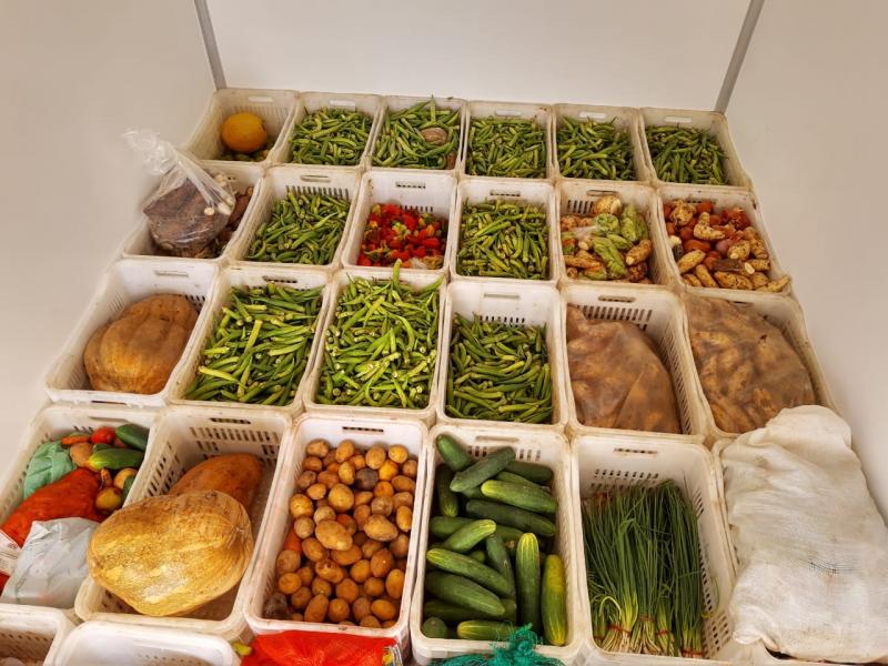 Programa da Sepror arrecadou cinco toneladas de frutas e verduras para doação a populações carentes