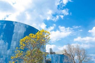 Superior Tribunal de Justiça vai apreciar denúncia do MPF contra desembargadora do Amazonas