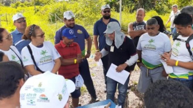 Resultados de produção são apresentados na terceira edição do Dia de Campo Tecnologias para a Produção de Banana