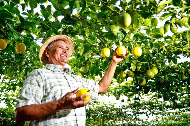 Emitido pelo Idam, Cartão do Produtor Primário garante isenção de impostos e descontos