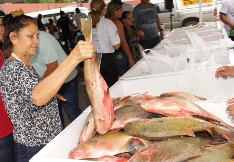 Nona edição do 'Peixe no Prato' alcança 3 mil famílias, no Monte das Oliveiras