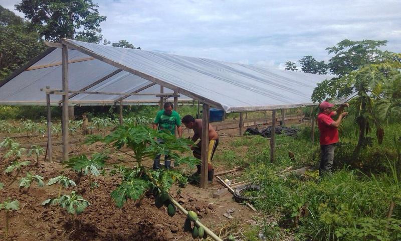 Ações de Assistência Técnica e Extensão Rural serão ampliadas em Parintins Ações de Assistência Técnica e Extensão Rural serão ampliadas em Parintins