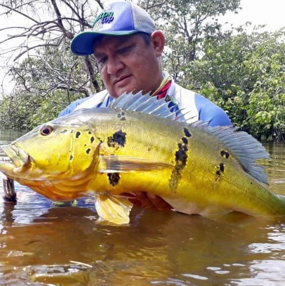 Em nota, Bi Garcia lamenta morte de Geraldo Sávio, vítima do novo Coronavírus 