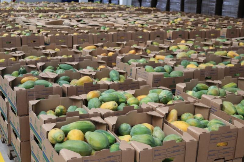 Cadastro para instituições receberem doações de alimentos encerra nesta quarta-feira (15)