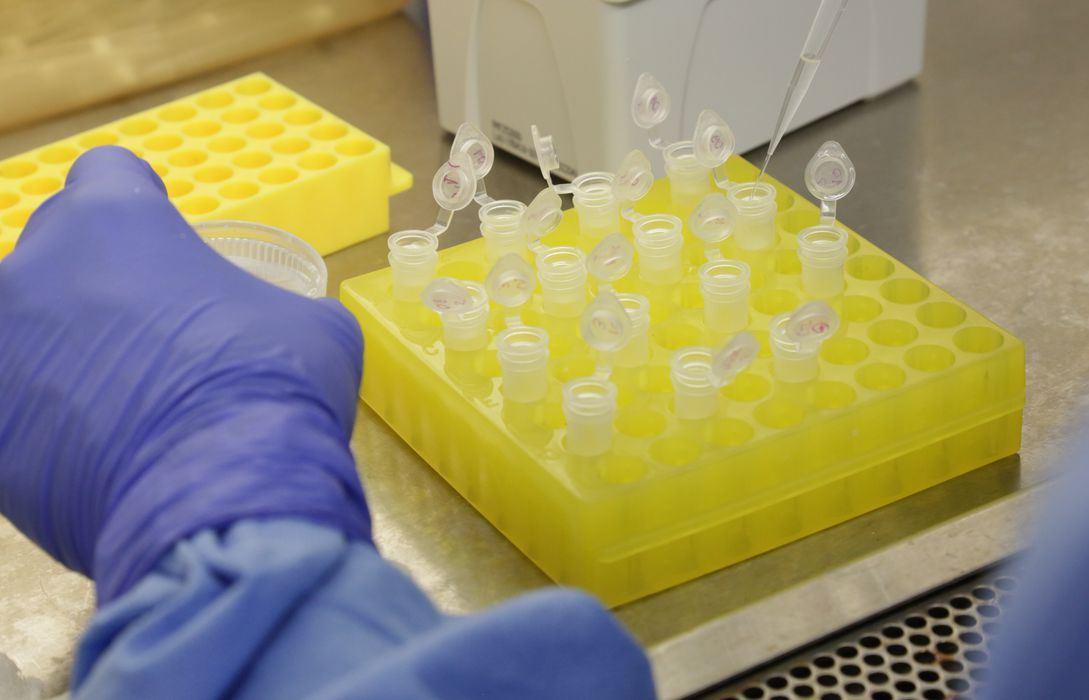 Covid-19: Brasil tem 1.328 mortes e 23.430 casos confirmados