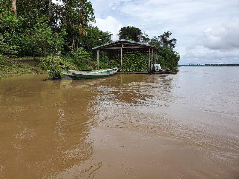 Manicoré envia mais de 100 toneladas de bananas e mais de 2 mil maracujás para abastecer Manaus