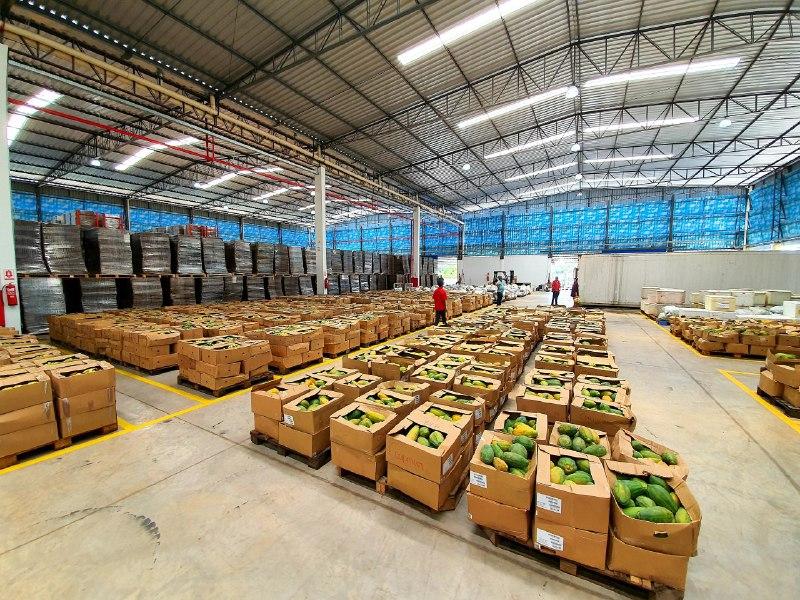 Governo do Amazonas doa mais 134 toneladas de alimentos para pessoas em vulnerabilidade social