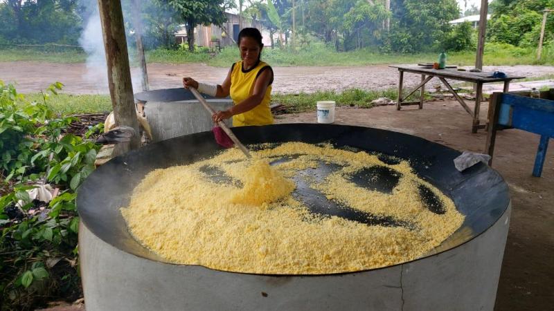 Produtores de Manacapuru comemoram início da produção de farinha