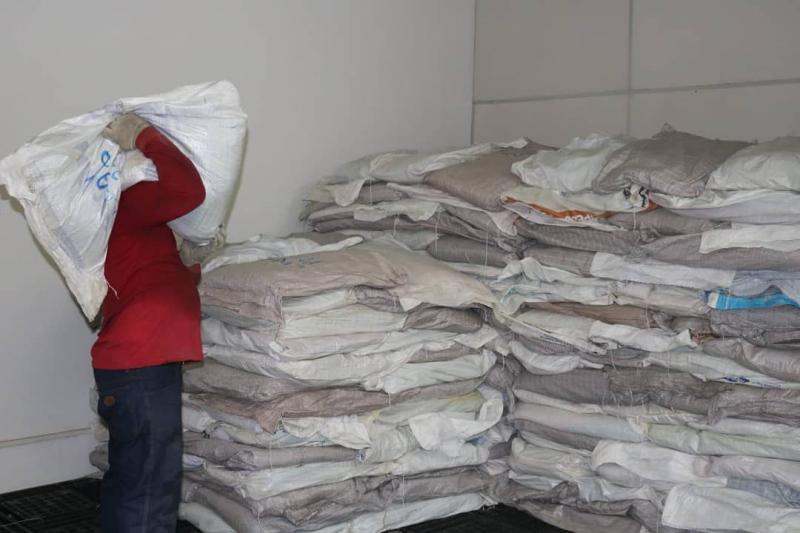 Sistema Sepror recebe 24,7 toneladas de sementes de milho que irão beneficiar 1,2 mil agricultores familiares