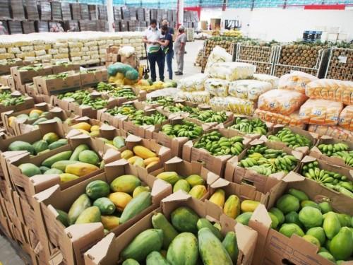 Governo do Amazonas compra 600 toneladas de alimentos dos agricultores locais para doar às famílias carentes