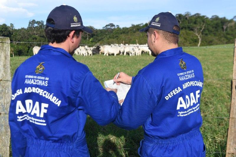 Produtores de 13 municípios deverão realizar a atualização cadastral de animais