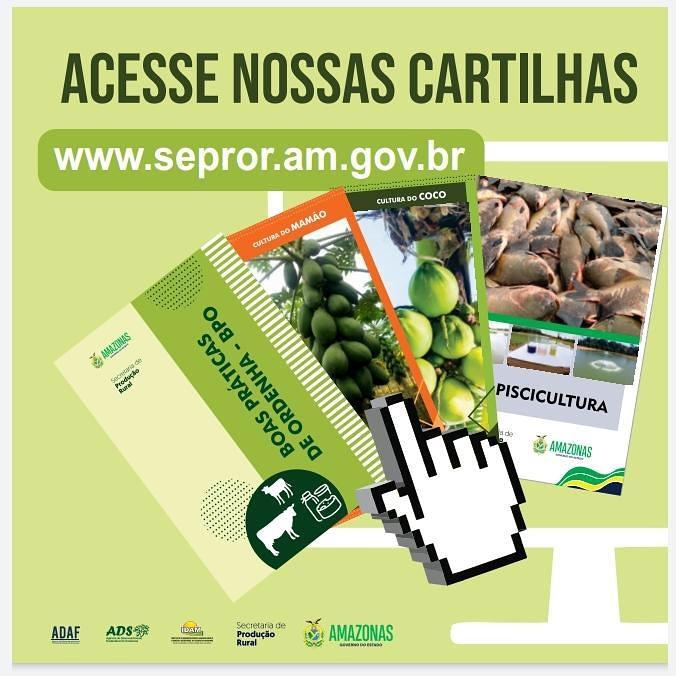 Cartilhas sobre cadeias produtivas do Amazonas estão disponíveis para download no site da Sepror