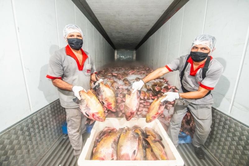 Vendas de pescado na Semana Santa movimentaram aproximadamente R$ 10 milhões na piscicultura