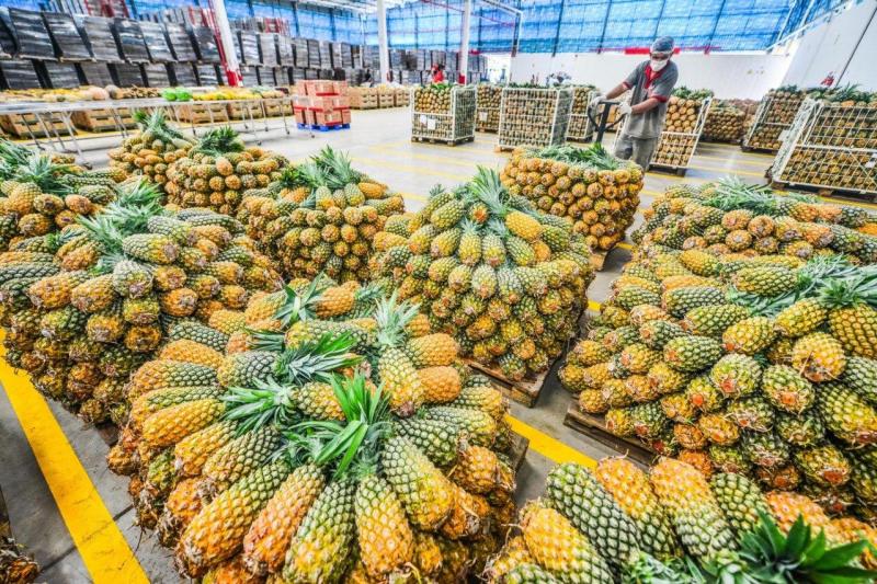 Governo do Amazonas compra mais 76 toneladas de produtos da agricultura familiar