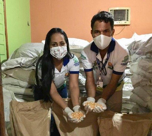Corrente de colaboração garante renda aos agricultores familiares e alimentos a entidades filantrópicas